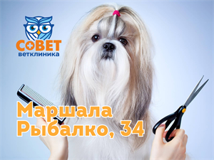 ✂️ Груминг - скидка до 50%