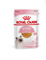 Royal Canin Kitten влажный корм для котят, кусочки в желе, 85 г - фото 5721