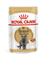 Royal Canin British Shorthair влажный корм для кошек,кусочки в соусе, 85 г - фото 6057